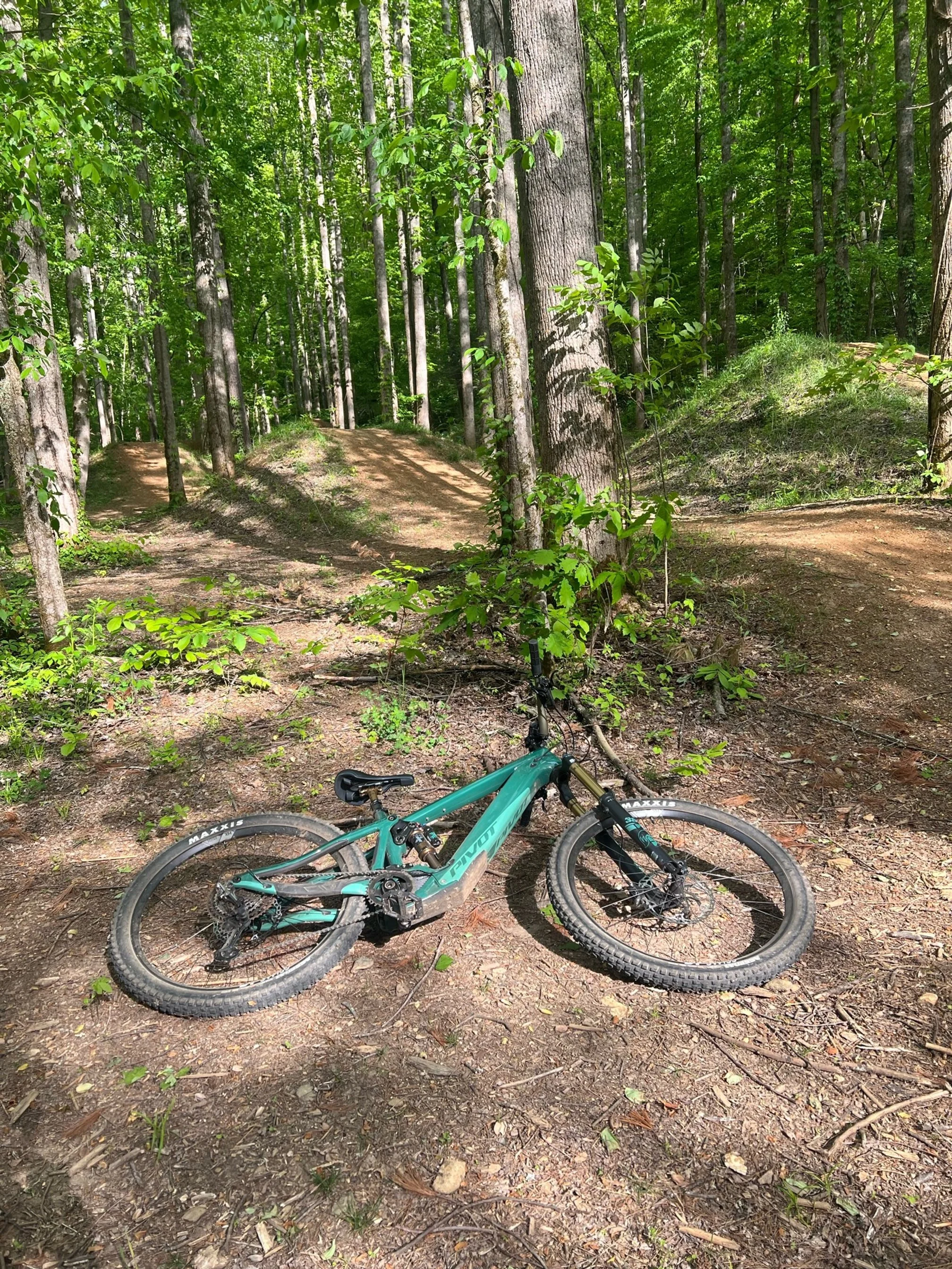 Belmont plateau mountain bike top trail